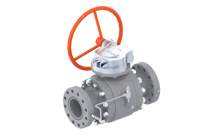 Gear-Actuated DBB & DIB Ball Valves (Model RVB-03)
